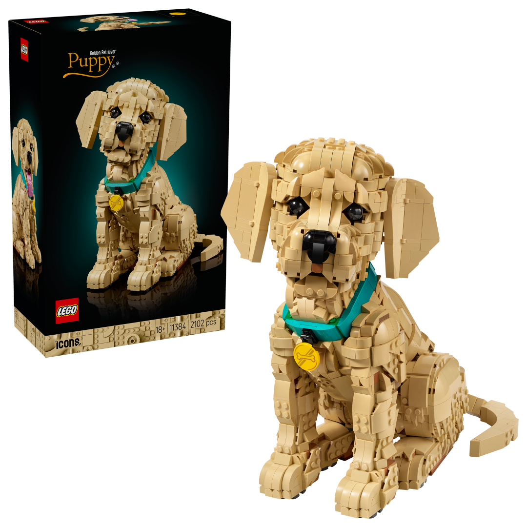 LEGO ICONS Golden Retriever Puppy 11384