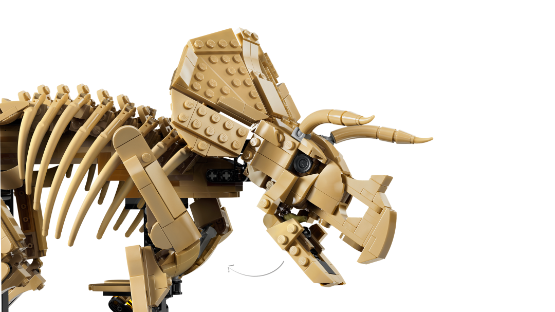 LEGO Jurassic World Dinosaur Fossils: Triceratops 77985