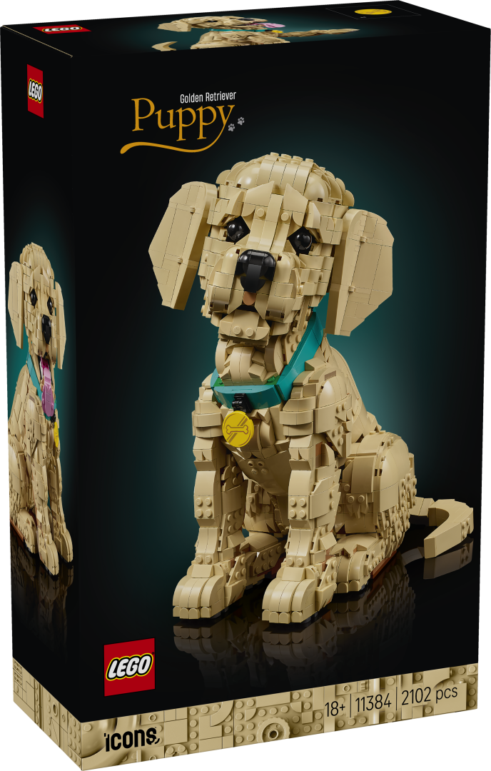 LEGO ICONS Golden Retriever Puppy 11384