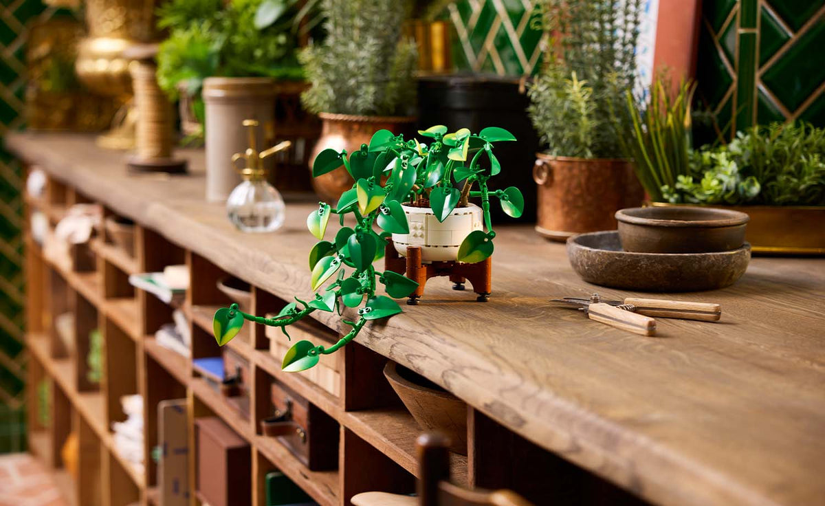 LEGO Botanicals Hanging Golden Pothos 11512