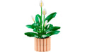 LEGO Botanicals Peace Lily 11504