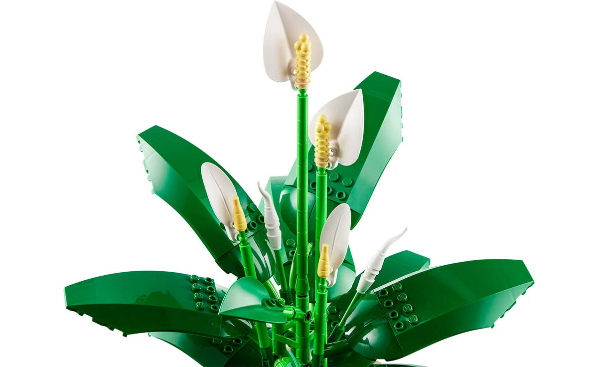 LEGO Botanicals Peace Lily 11504