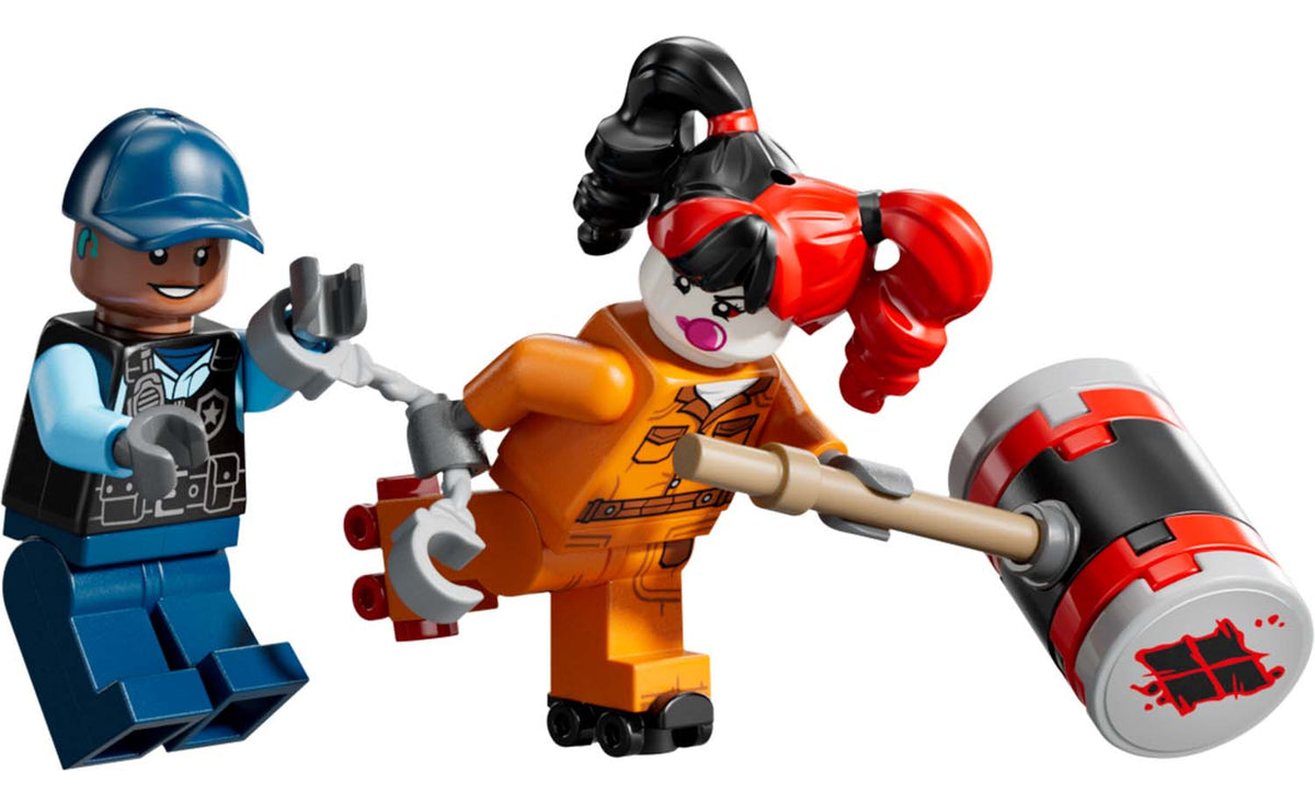 LEGO DC Arkham Asylum 76300