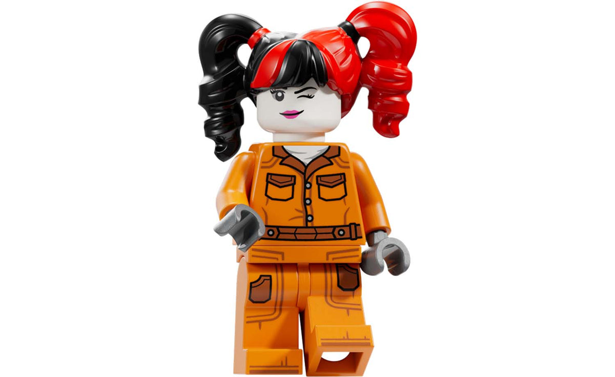 LEGO DC Arkham Asylum 76300