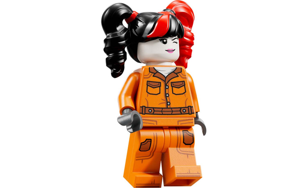 LEGO DC Arkham Asylum 76300