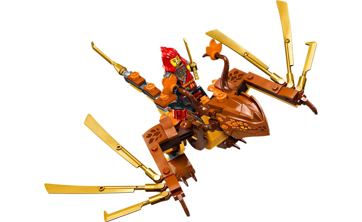 LEGO NINJAGO Tournament Temple City 71814